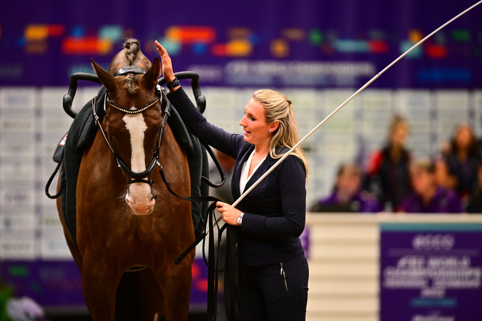 Voltige de Wolff Vaulting