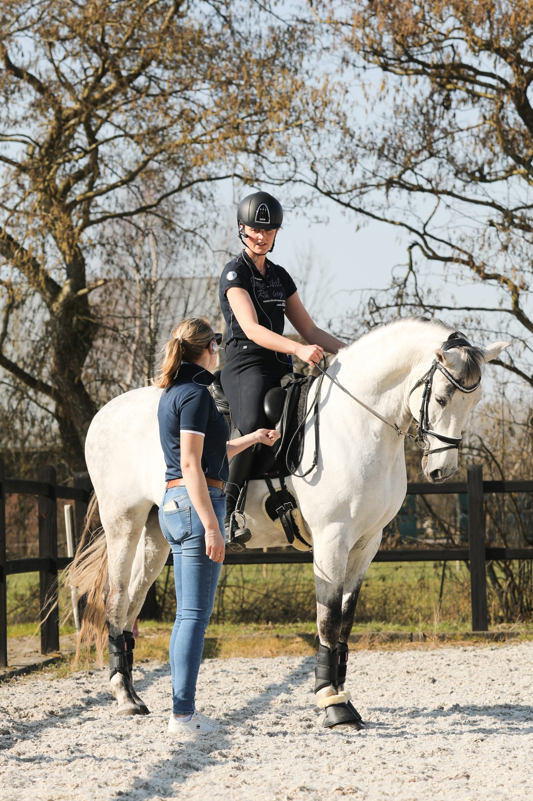 Cursus houding zit dressuur paardrijden