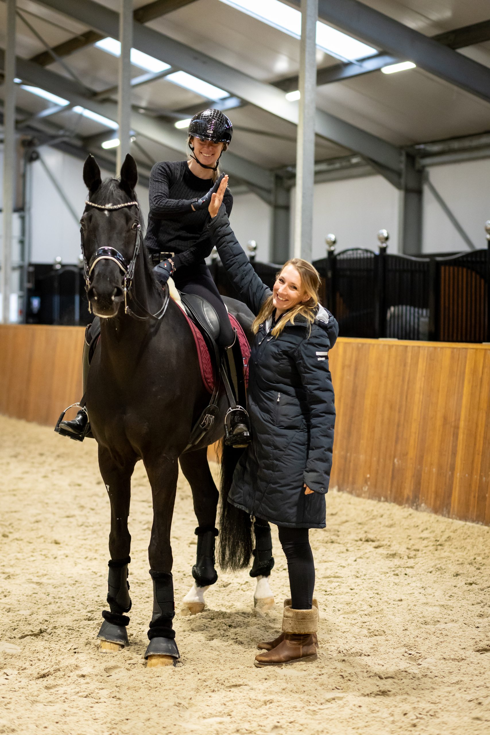 Connect met je paard gratis e-book paardrijden