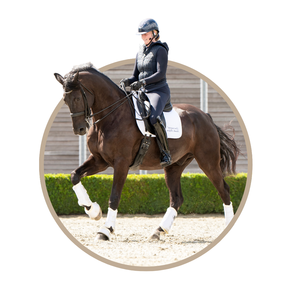 Dressuur training online