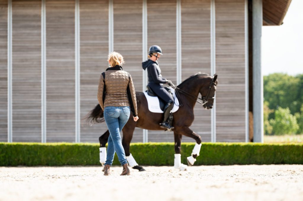 Ruitertechniek Biomechanica e-book